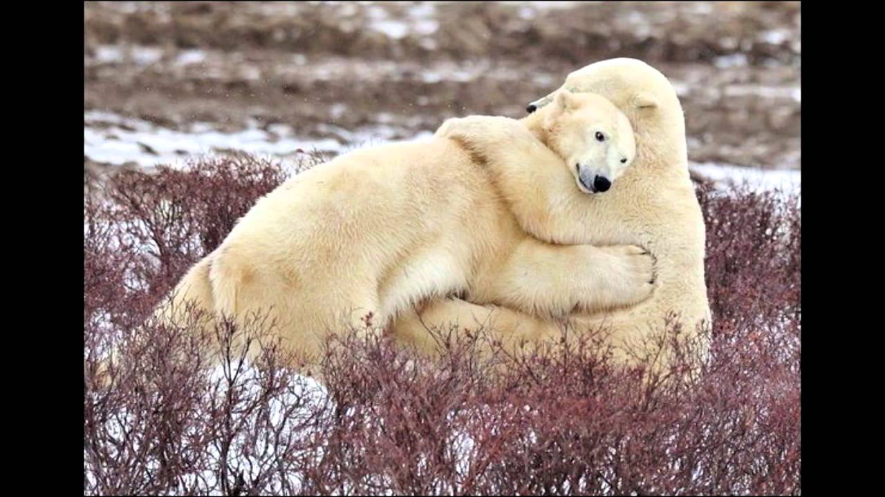 BEST FAILS November  FUNNY VIDEOS  EPIC FAIL Compilation 2014 № 0109