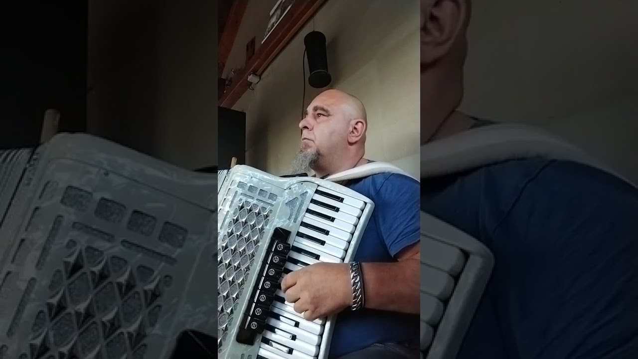 Vzpomínka na Šumavu - Akordeon