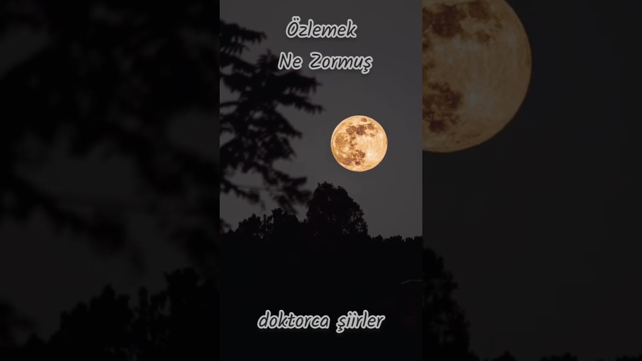 Özlemek Ne Zormuş.....     #şiir #şiirheryerde #keşfet #youtube #smule #reels 