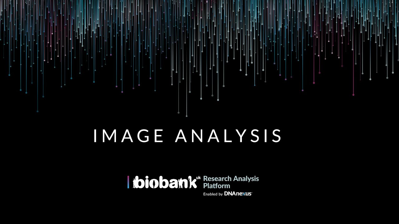 Image Analysis on the UK Biobank Research Analysis Platform