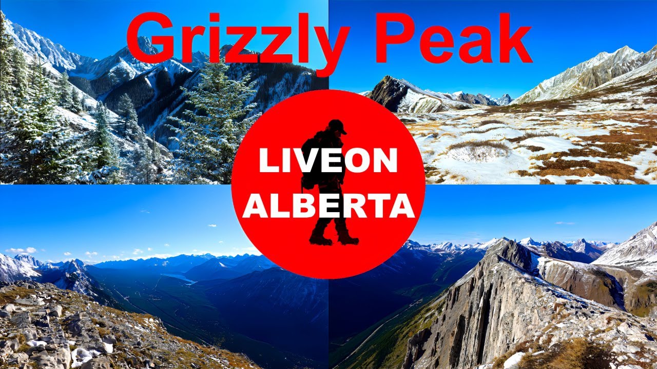 SUMMITING GRIZZLY PEAK: A short hike with STUNNING VIEWS #hiking