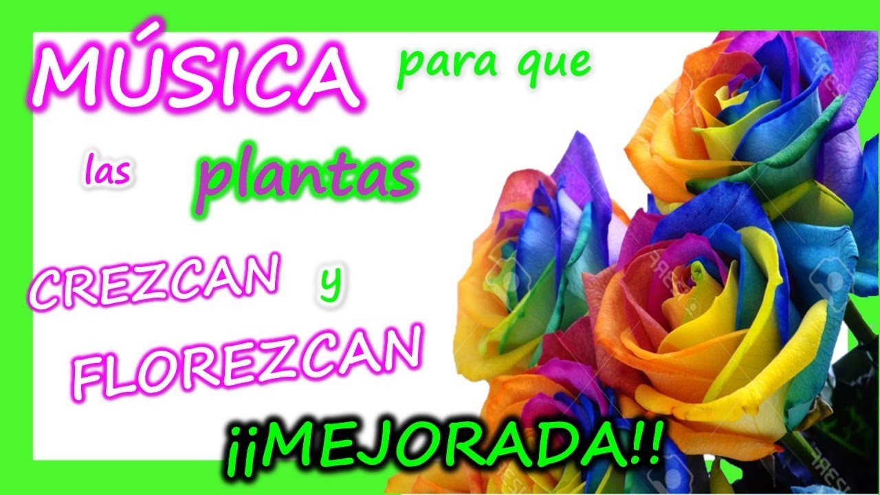 💚M&Uacute;SICA 🐤para que las PLANTAS CREZCAN y FLOREZCAN🌷 MEJORADO