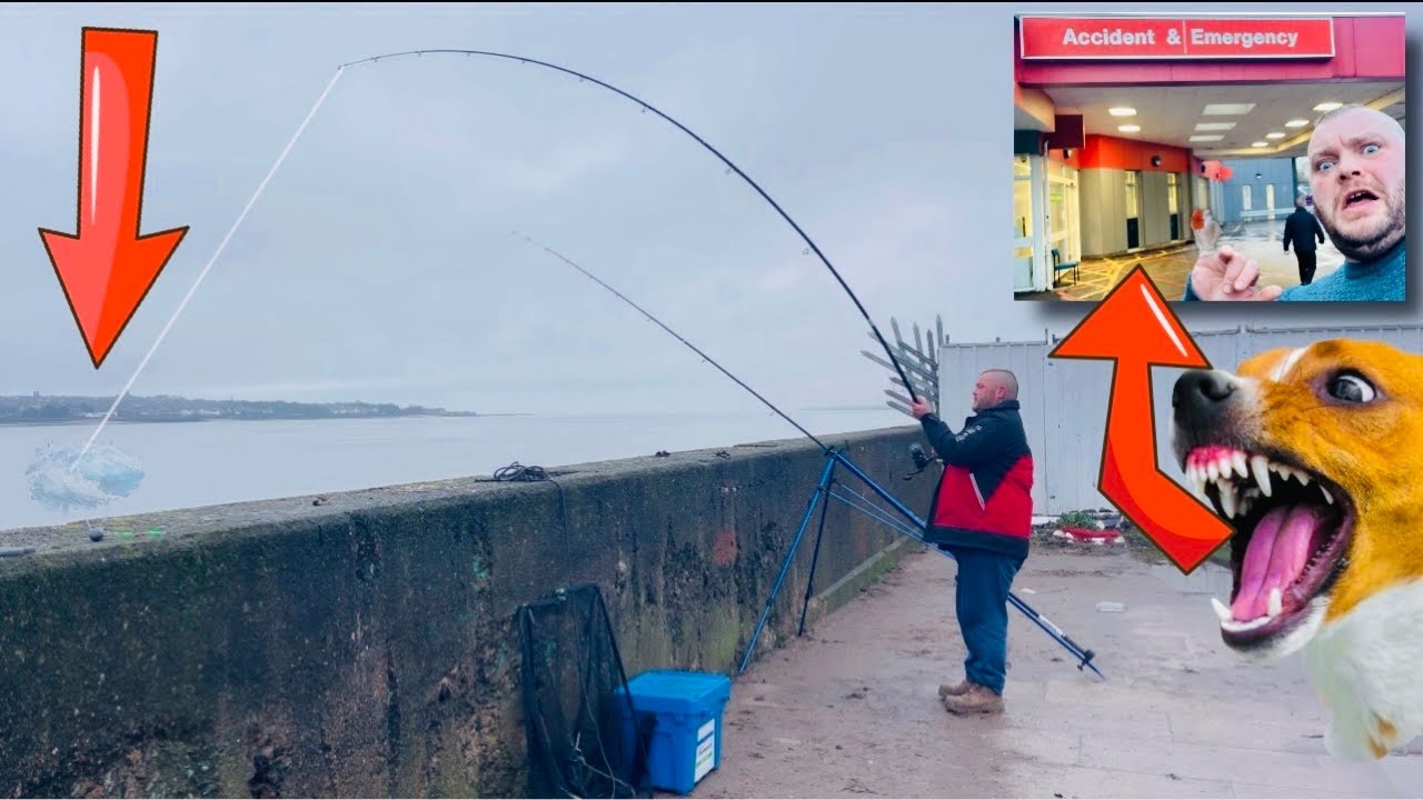 LOADS of FISH CAUGHT after DOG BITE ⚠️ 