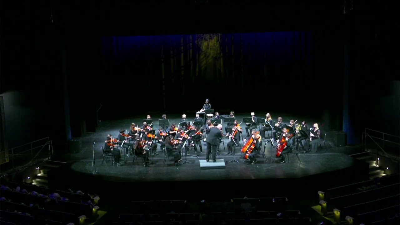 Academy Philharmonic performs Sorcerer's Apprentice