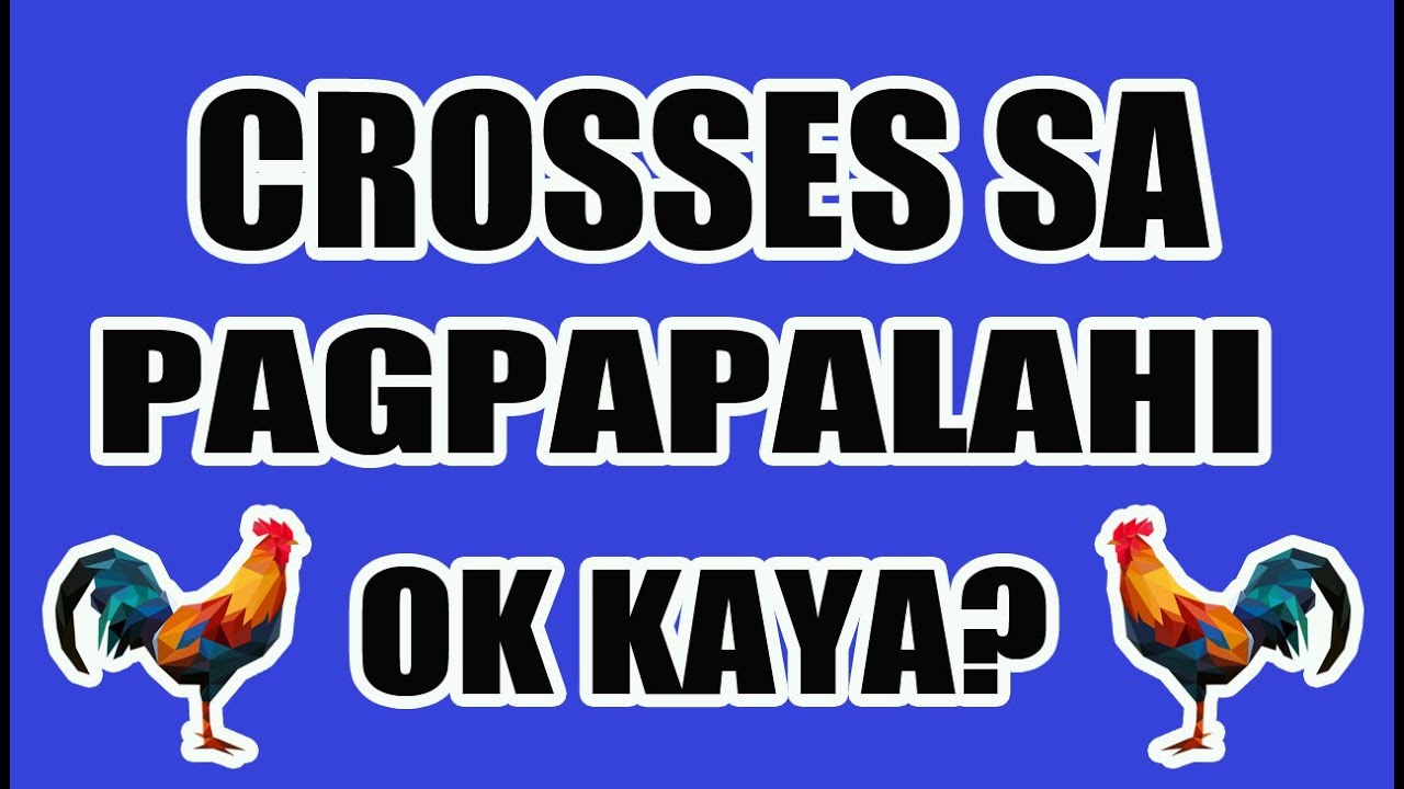 CROSSES GAMIT SA PAGPAPALAHI, OK KAYA?