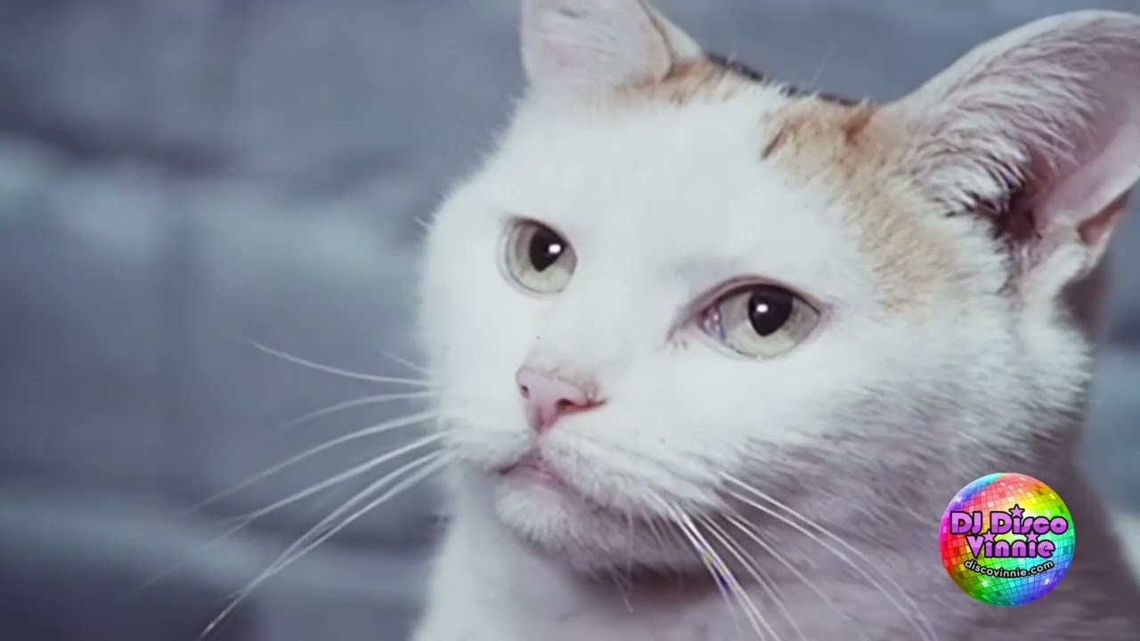 Erasure- Drama (VJ Rob AOM/DV Edit)