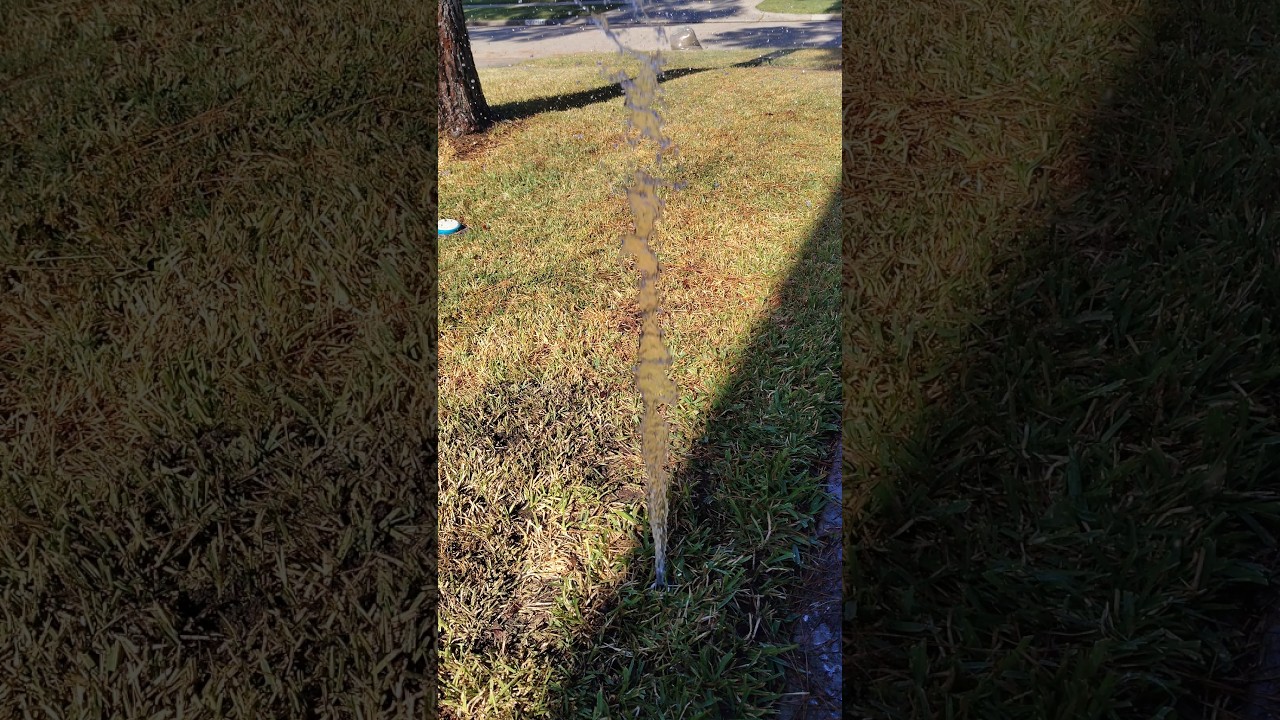 Sprinkler system tune up 🛠️ Spray nozzle cleared of obstruction 🌊 #howto #diy #101 #drgreenthumbshow
