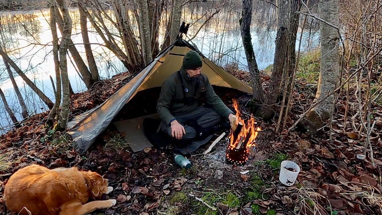 Quiet Bushcraft Camp by the Lake – Tarp Shelter, Fire & Fishing (No Talking)