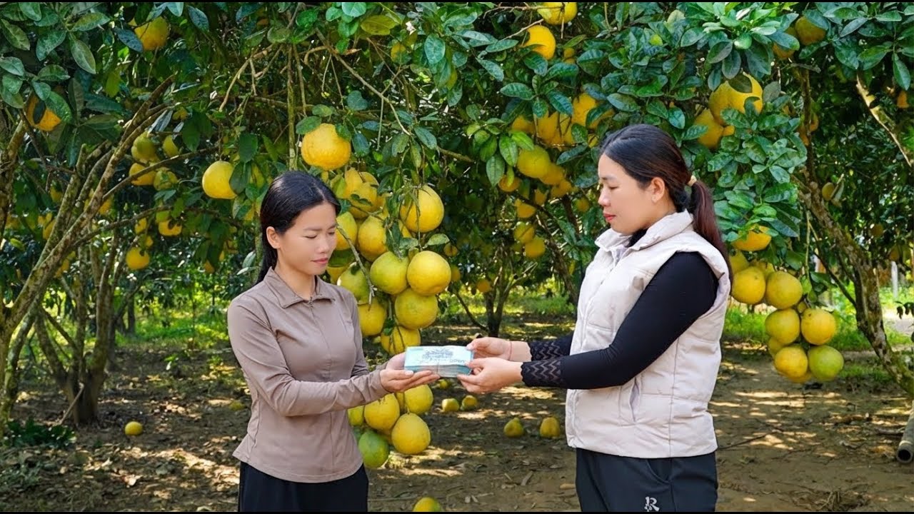 Хан, продающая помело на местном рынке, встречает добрую женщину, и происходит чудо