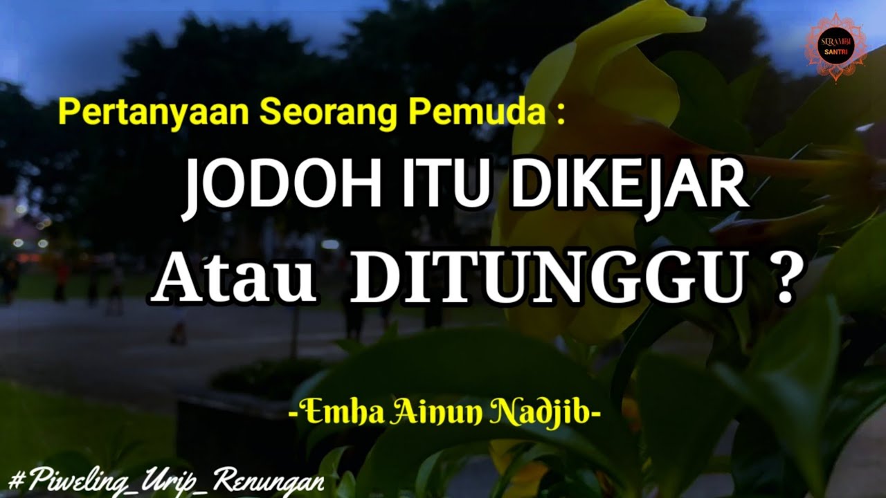 Cak Nun Menjawab Jodoh Itu Dikejar atau Ditunggu..?? | Cak Nun