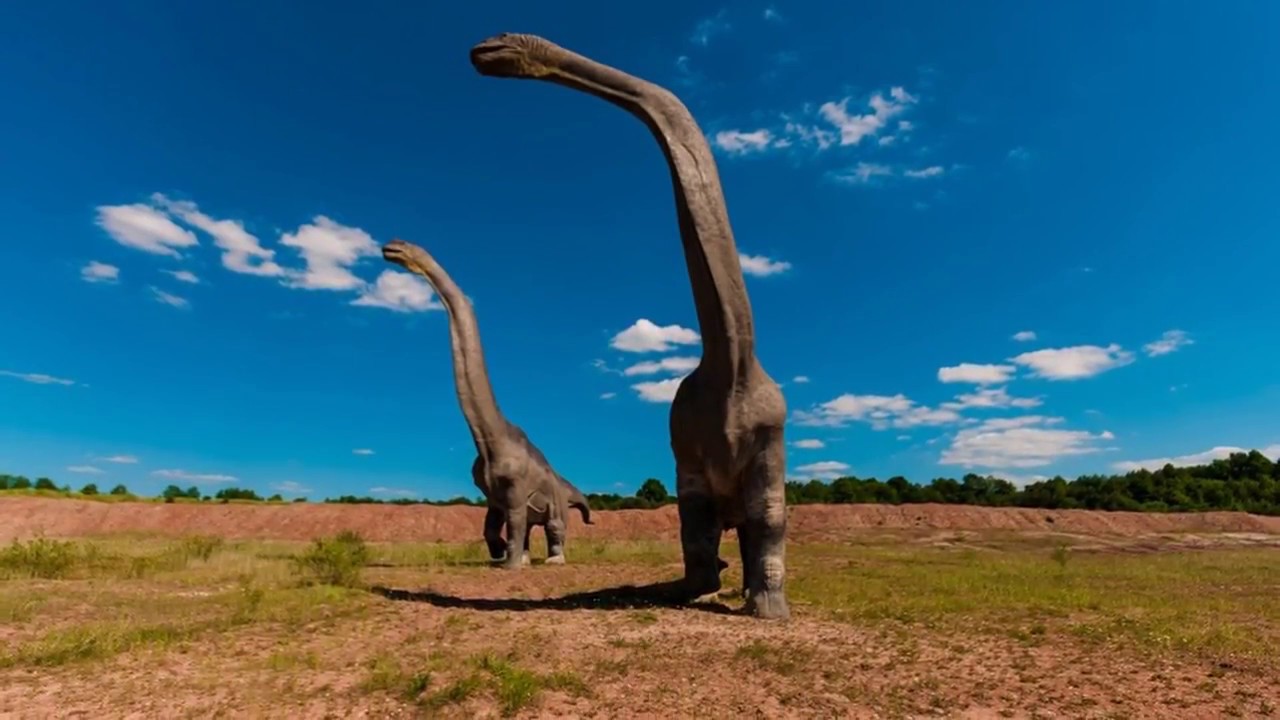 Le canzoni dei dinosauri: 