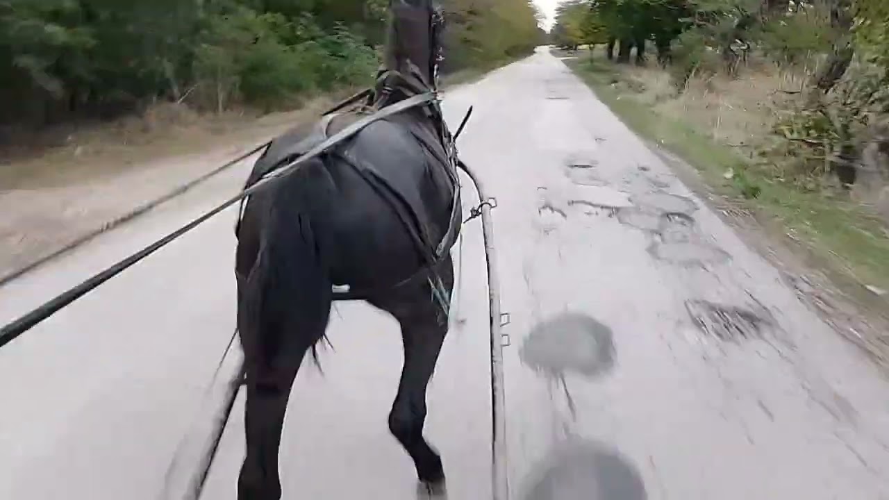 Откриване на сезона със черния кошмар 