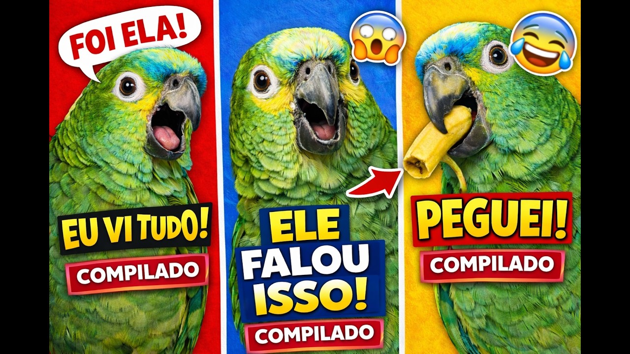 PAPAGAIO FOFOQUEIRO 😂 OS MELHORES MOMENTOS | COMPILADO