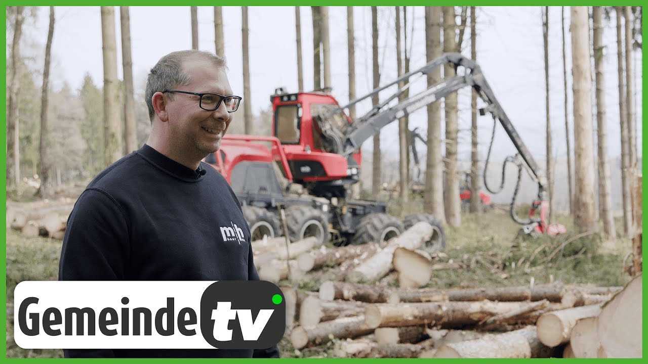 Ein Tag im Wald: Einblicke in die Firma Möser Holz