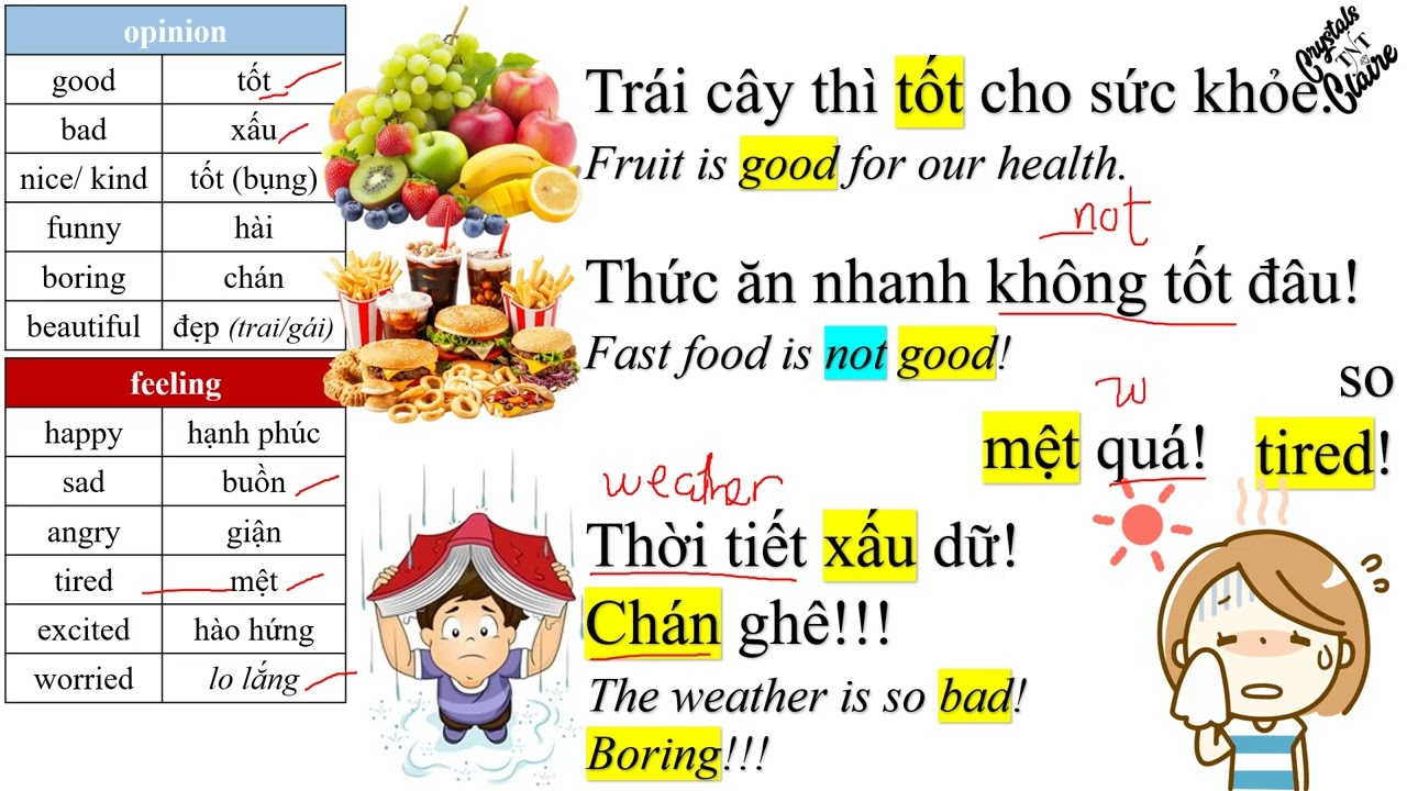 Learn Vietnamese - 1.8. Adjective