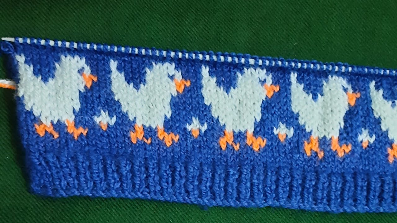 Duck  design For kids sweater