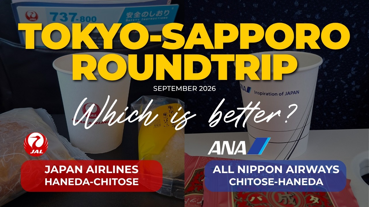 JAL vs ANA Economy Class: Tokyo to Sapporo Flight Comparison 🇯🇵 | HND-CTS & CTS-HND