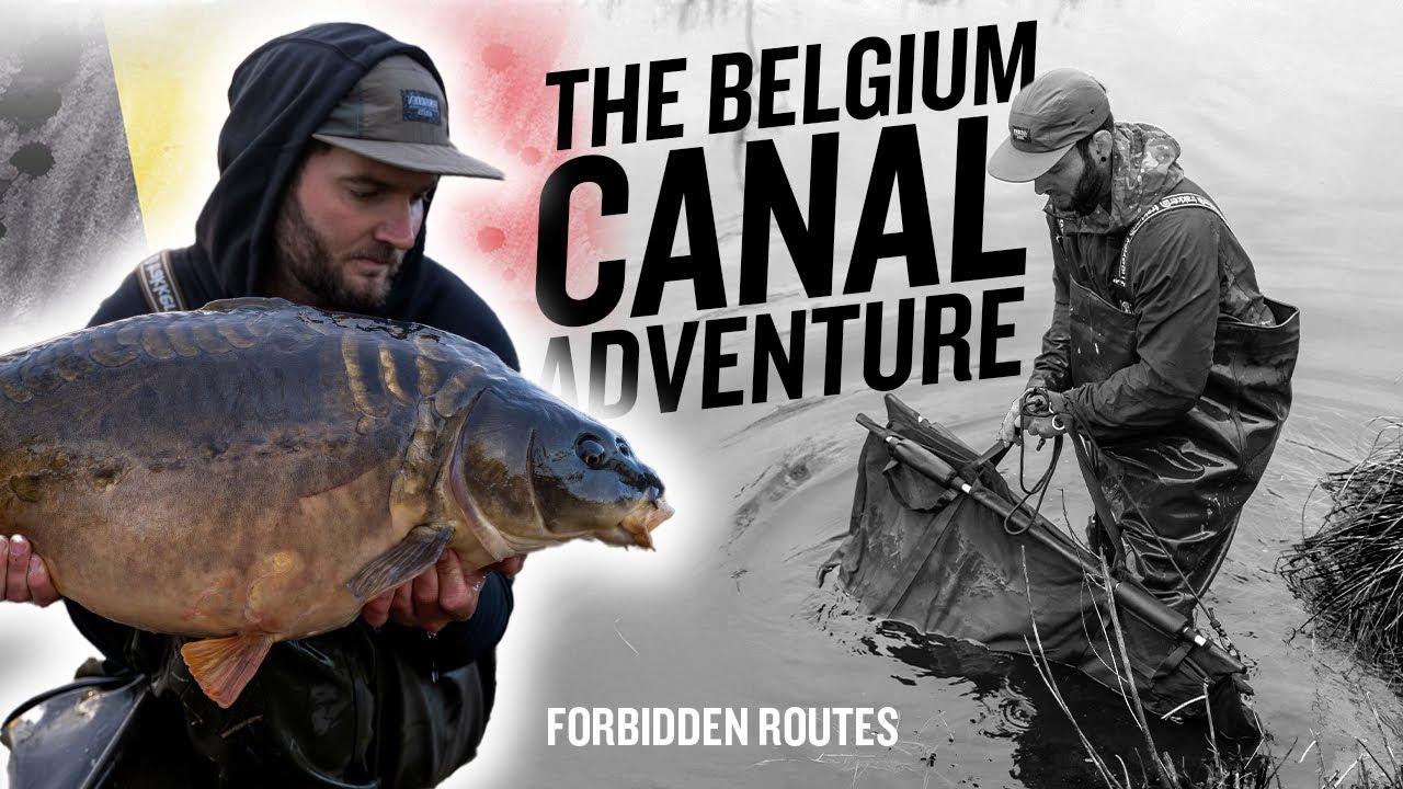 Fishing in Belgium for BIG Carp | Forbidden Routes | Winter Carp Fishing