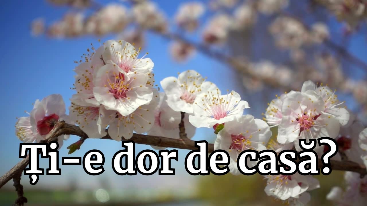 ⭐ Dorul Nu Are Hotar – Cântecul Dorului de Casă Care Te Face să Plângi #dorsiritm