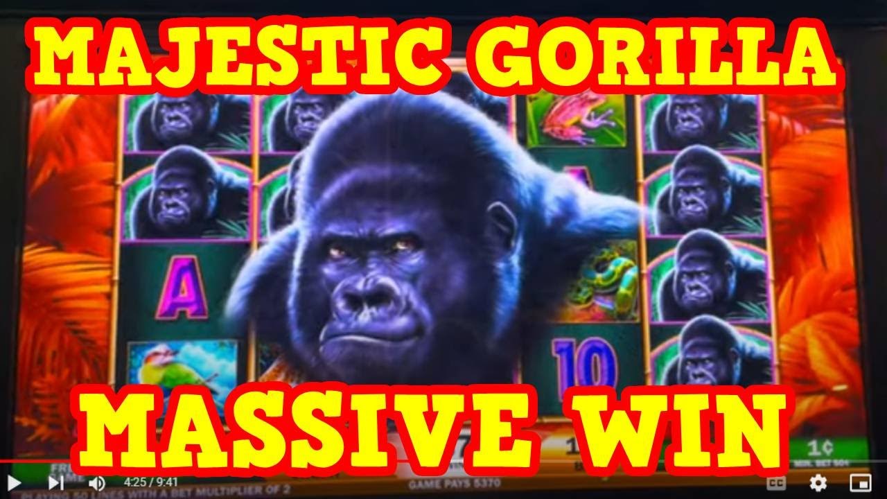 ★MASSIVE WIN★ MAJESTIC GORILLA SLOT | Slot Machine Bonus