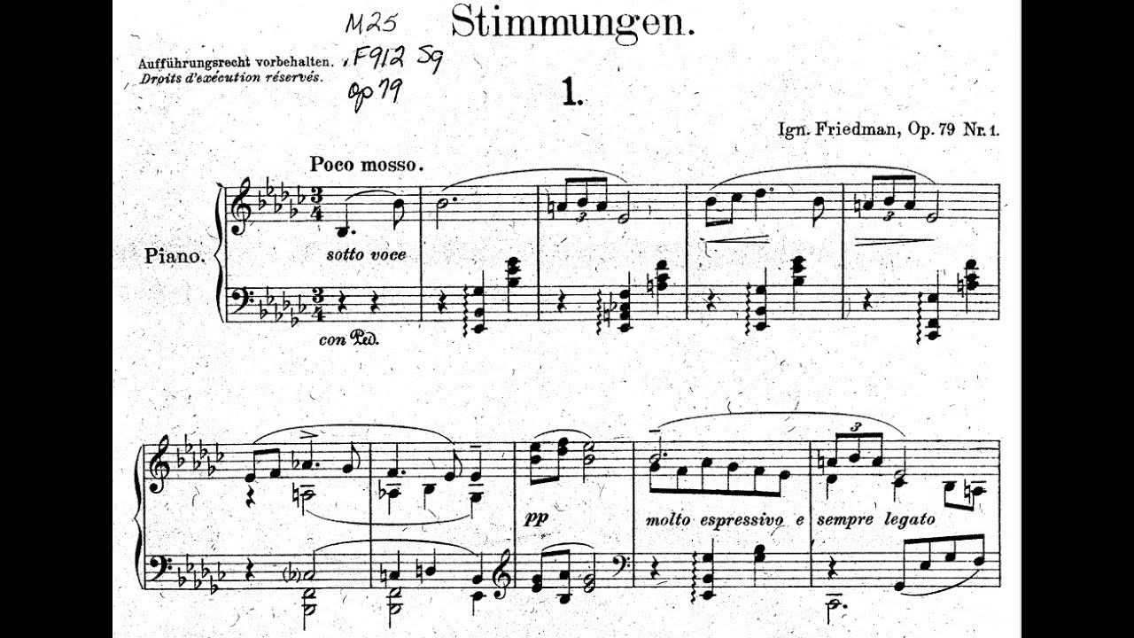Ignaz Friedman - Stimmungen, Op.79