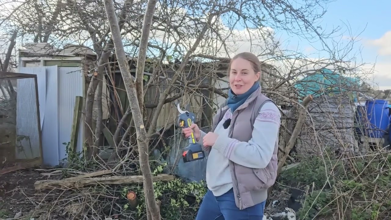 🌳 This Electric Pruner Took Me by Surprise... #prunarbo #tools #nature #garden #plants