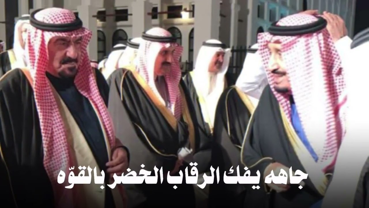 شيخ الشمل | اداء: محمد النجم | حصريا🔥⚡️..