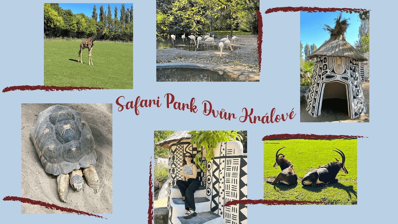 Mini VLOG 🇨🇿| Կենտրոնական Եվրոպայի միակ SAFARI PARK-ում