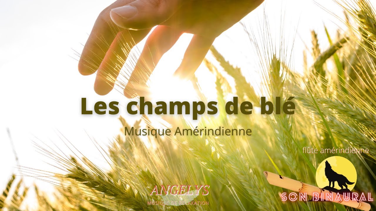 Les champs de blé musique chamanique Amérindienne