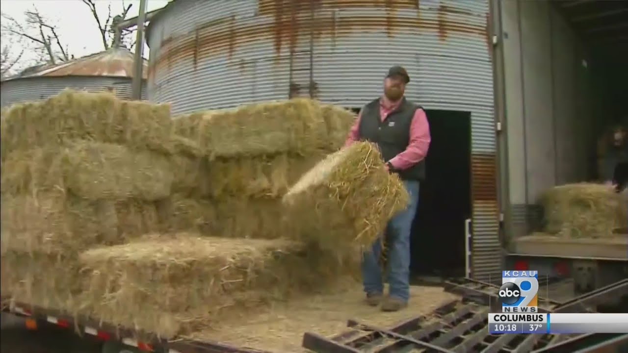 Hay To Nebraska