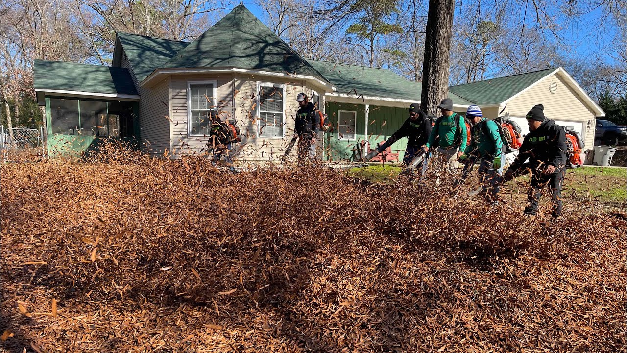 Insanely Fast LEAF CLEANUP with 8 MAN CREW We Make QUICK Work Of It
