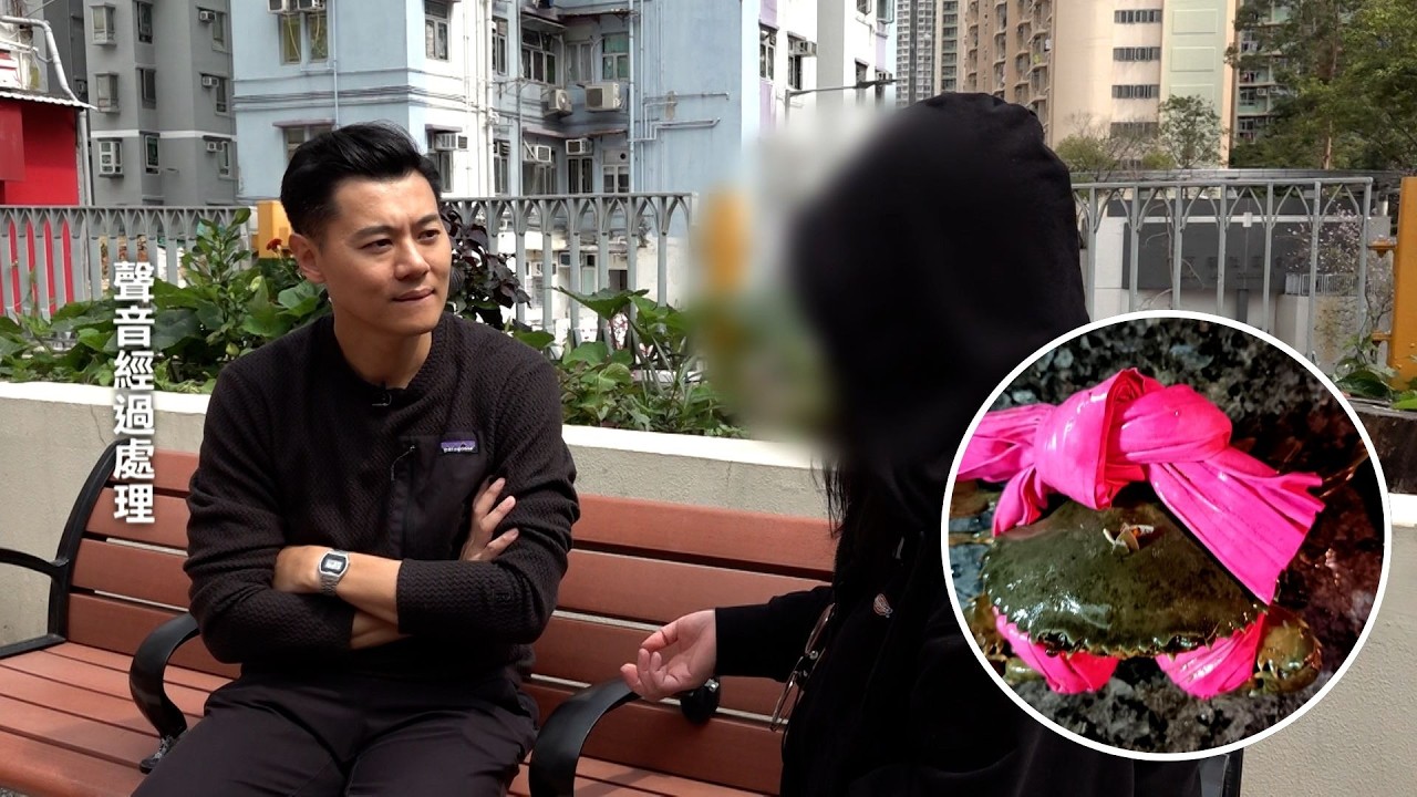 東張西望｜街市買蟹遭粗大蟹繩呃秤 事主向店舖投訴惟對方推卸責任｜街市買蟹｜蟹繩呃秤｜推卸責任｜黃耀英