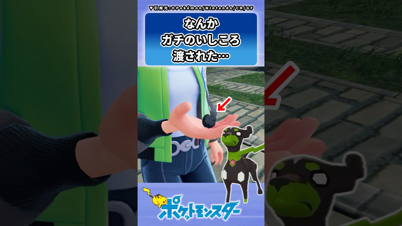 その姿でいしころ渡されても&hellip;に対するトレーナーの反応集 #ポケモン #反応集 #レジェンズZA #ジガルデ