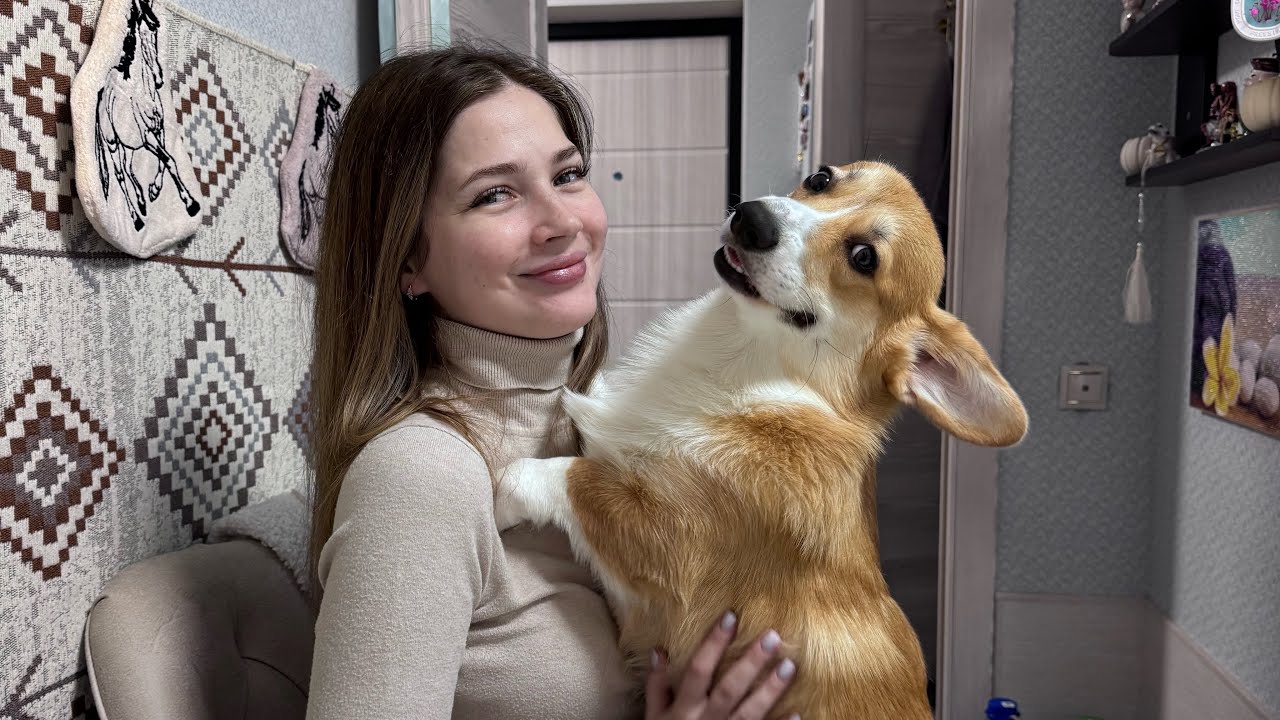 У нас скиталась Акита,мы ее пристроили🙏Ловили на Федю😍 