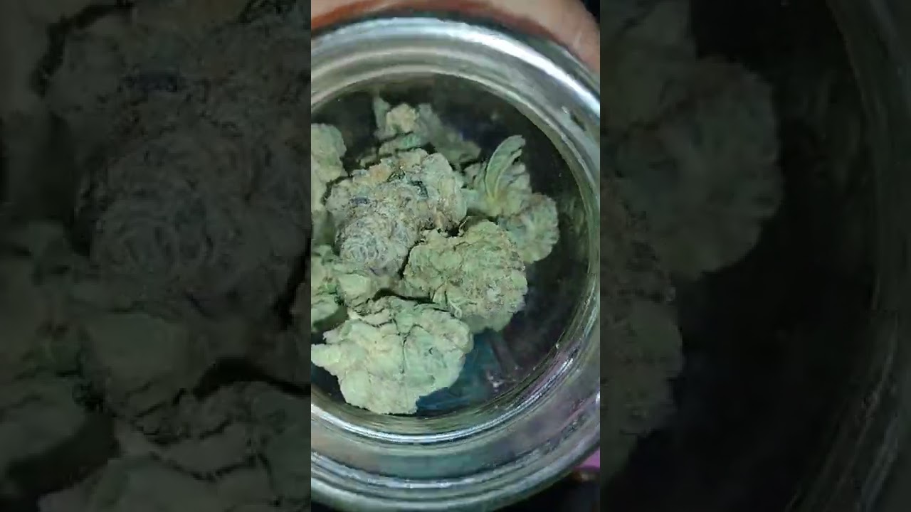 #loudpack #highestintheroom #weed