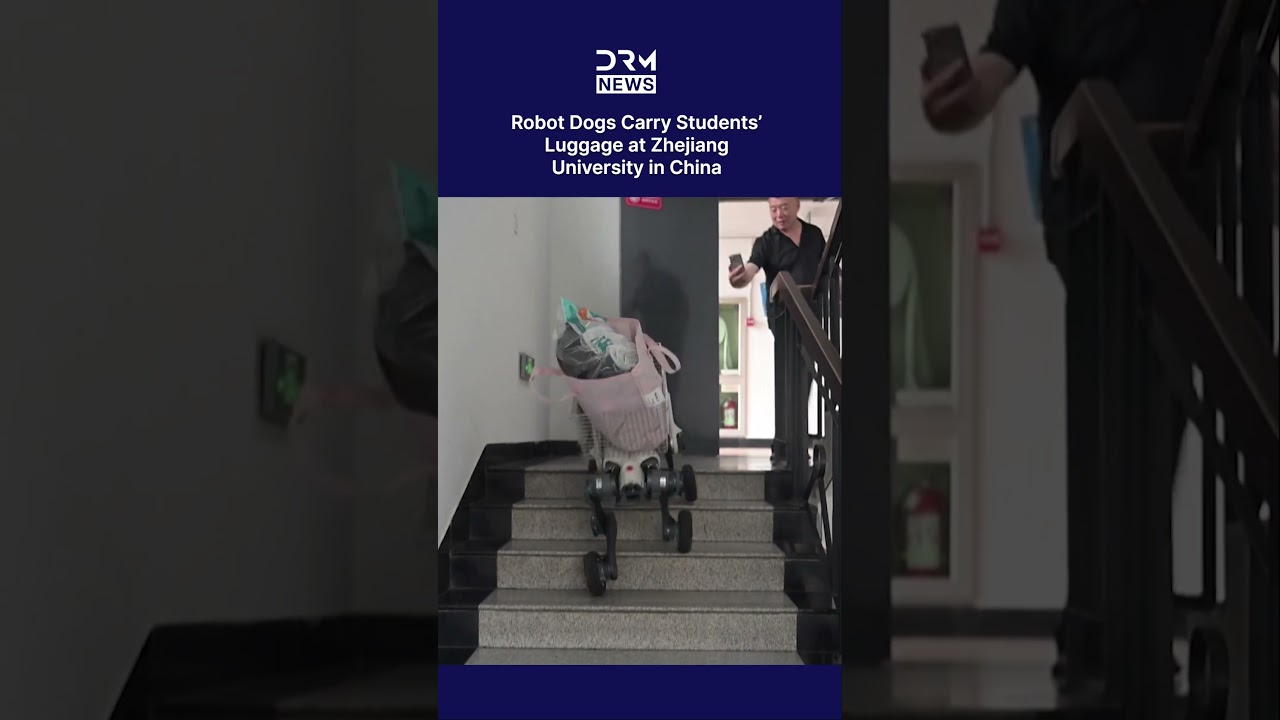 VIRAL VIDEO: Robot Dogs Carry Students&rsquo; Luggage at Zhejiang University in China | AI1B