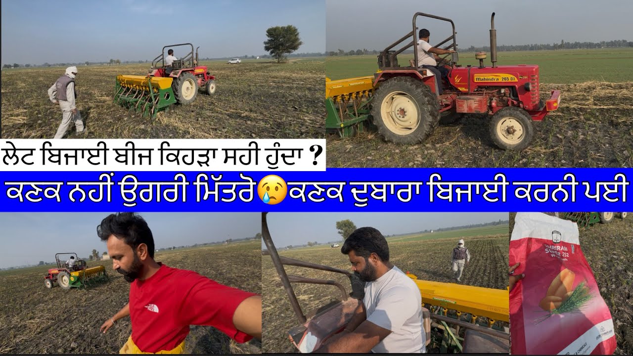 ਕਣਕ ਨੀ ਉੱਗਰੀ ਮਿੱਤਰੋ ਦੁਬਾਰਾ ਬੀਜਣੀ ਪੈ ਰਹੀ ਆ ,Kanak Dubara Beejni Pyi || Kihda Seed Beejiye 