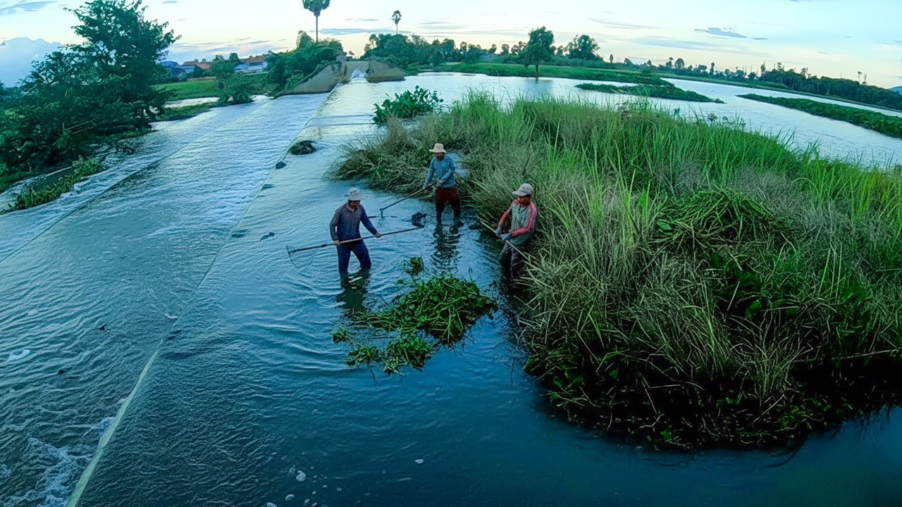 Villager Remove Floating Plant Clogged On Dam