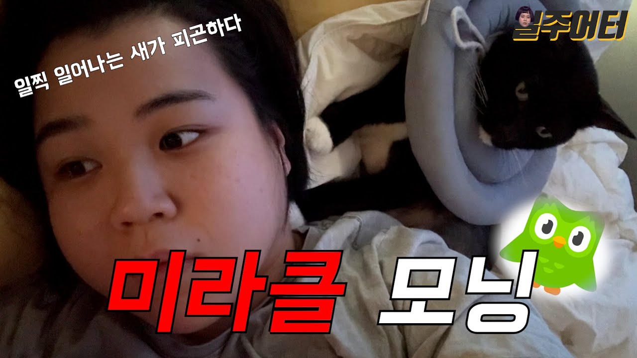 일주일 동안 미라클 모닝을 실천해봤습니다. 살이 빠질까요? 아니면 그냥 피곤할까요? (Feat. 듀오링고)