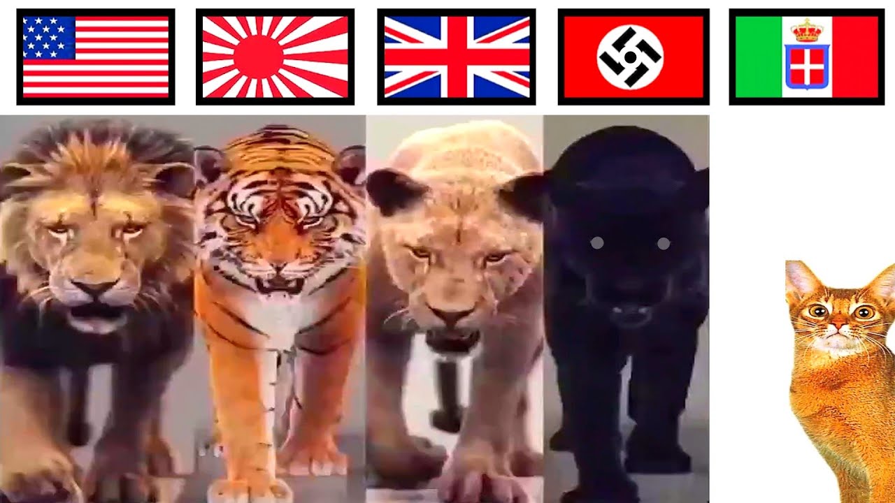 World History... basically