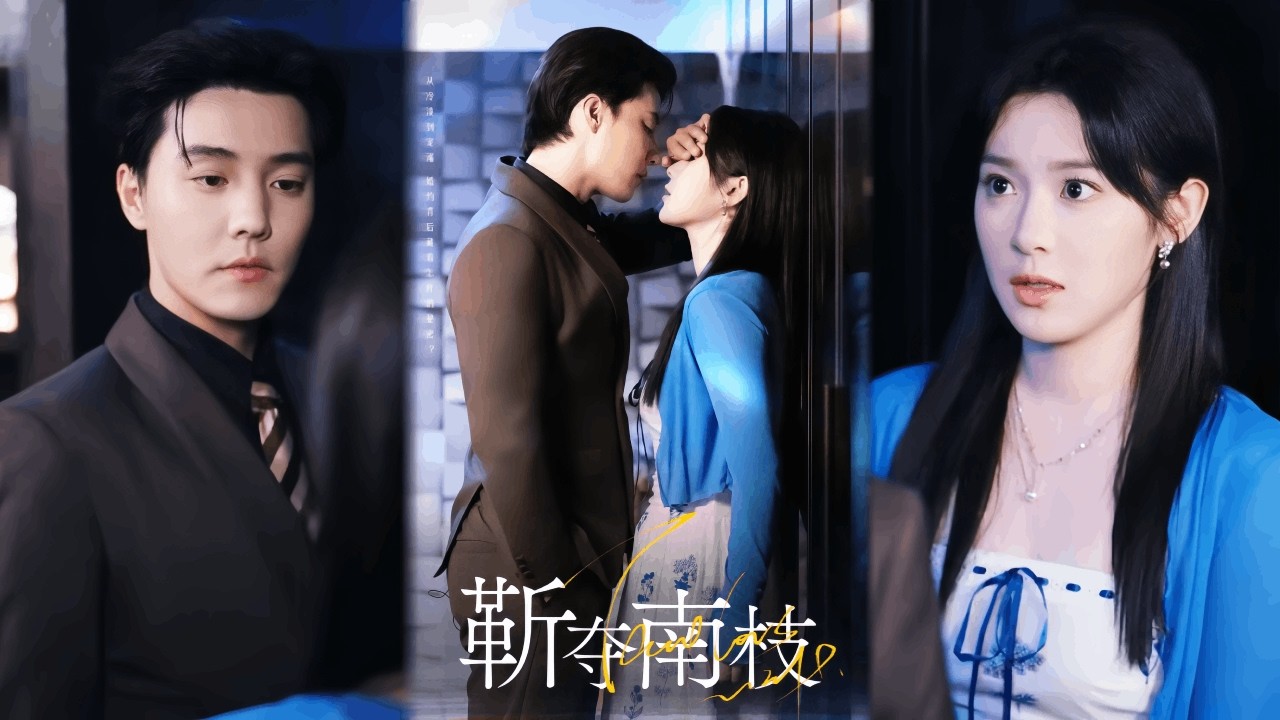 【Multi-Sub】💍先婚後愛 | 他是禁慾多年的江家掌權人，我是他從未正眼看過的小未婚妻。誰料領證當天，他卻把我寵上天？ 🔥