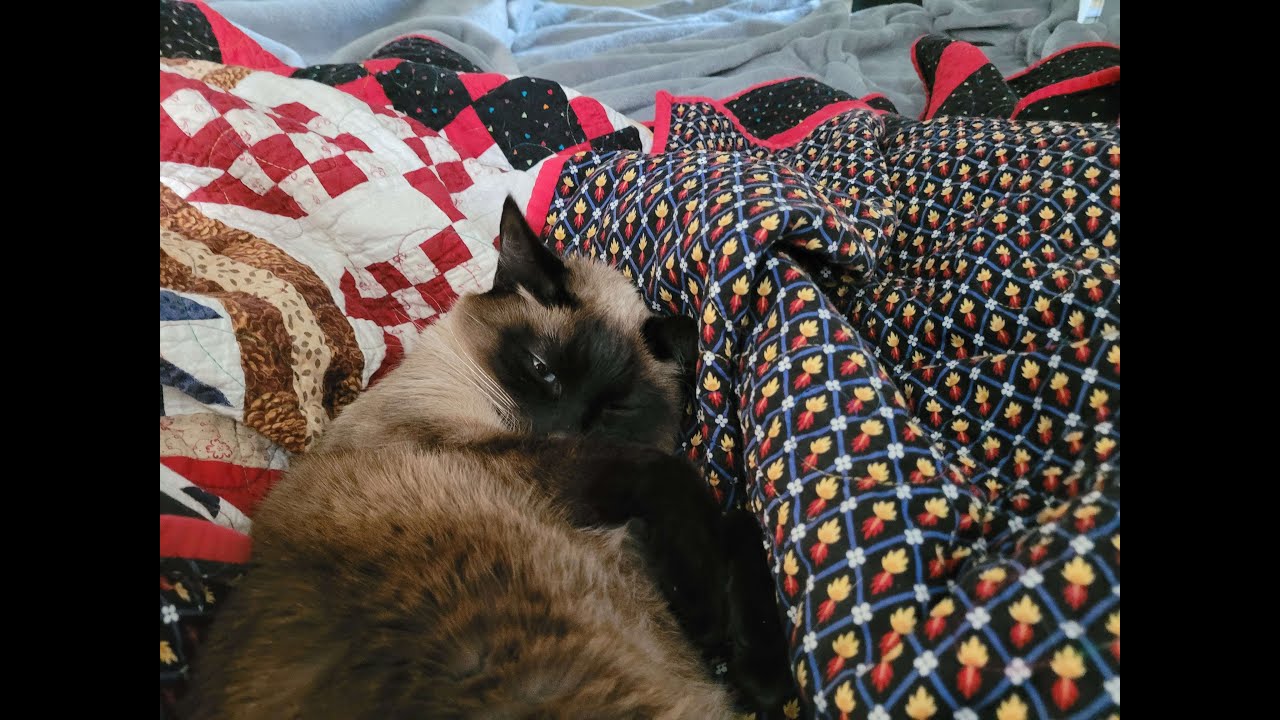 War Thunder air sim mouse and keyboard #simteam