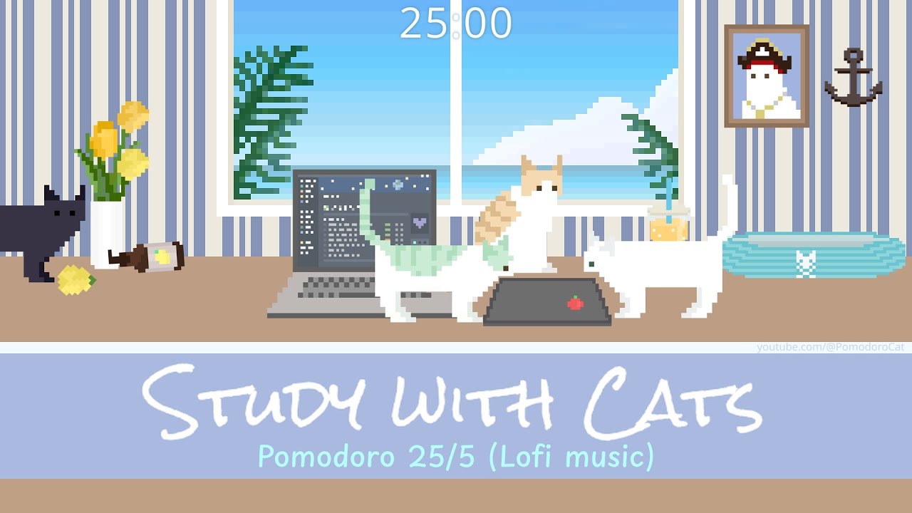 Study with Cats 🌴 Pomodoro Timer 25/5 | Summer Study Sessions at the Beach House | Chill lofi music♡
