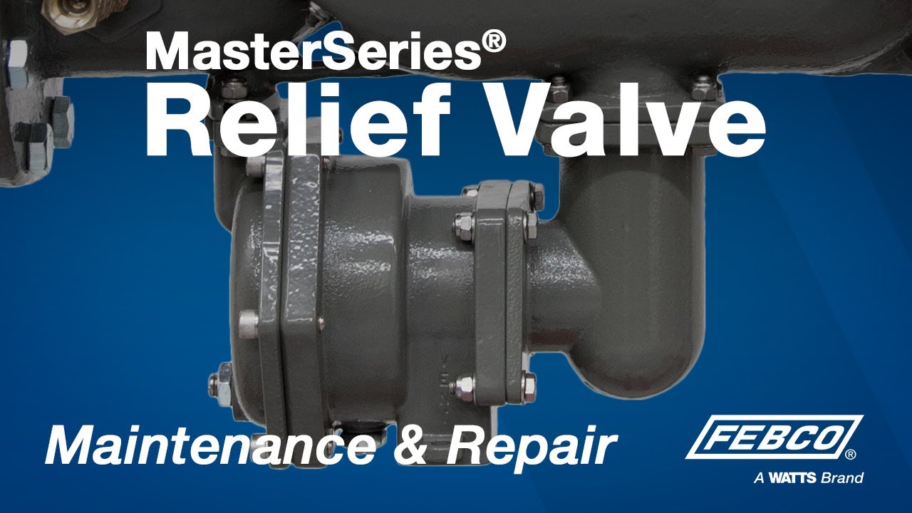 FEBCO MasterSeries® Relief Valve Maintenance & Repair
