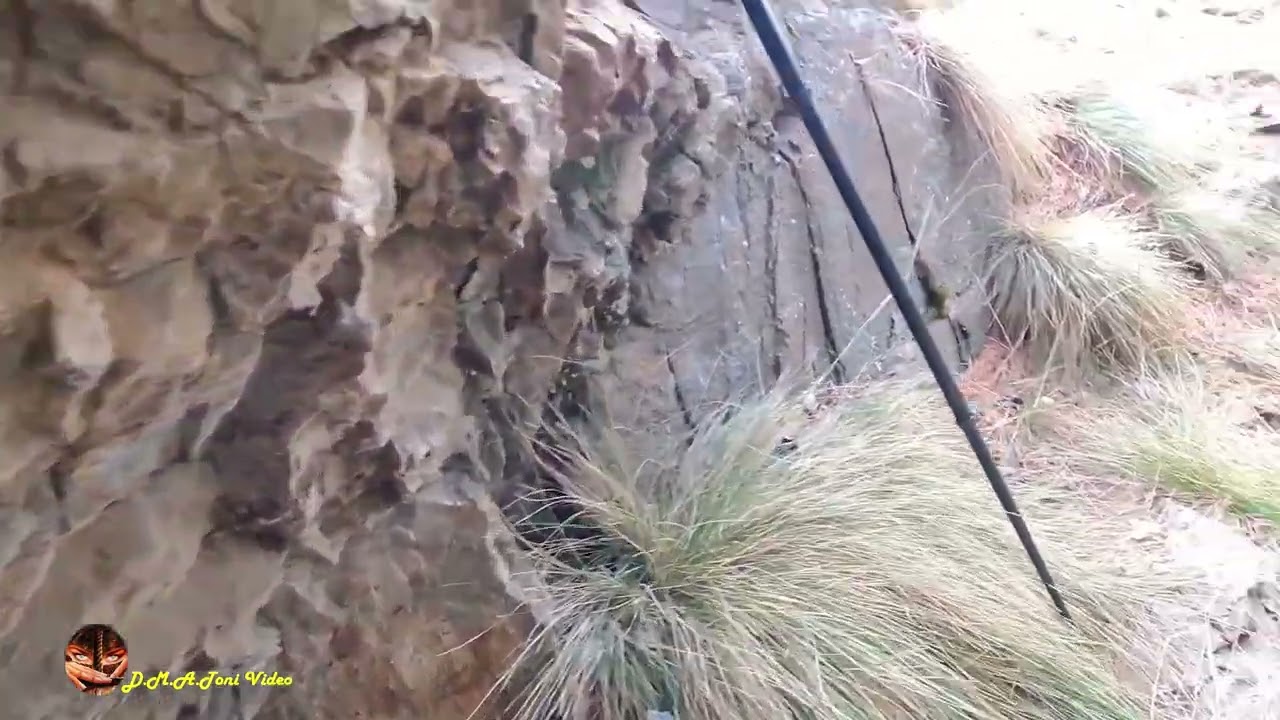 Miniera d'oro Chamousira