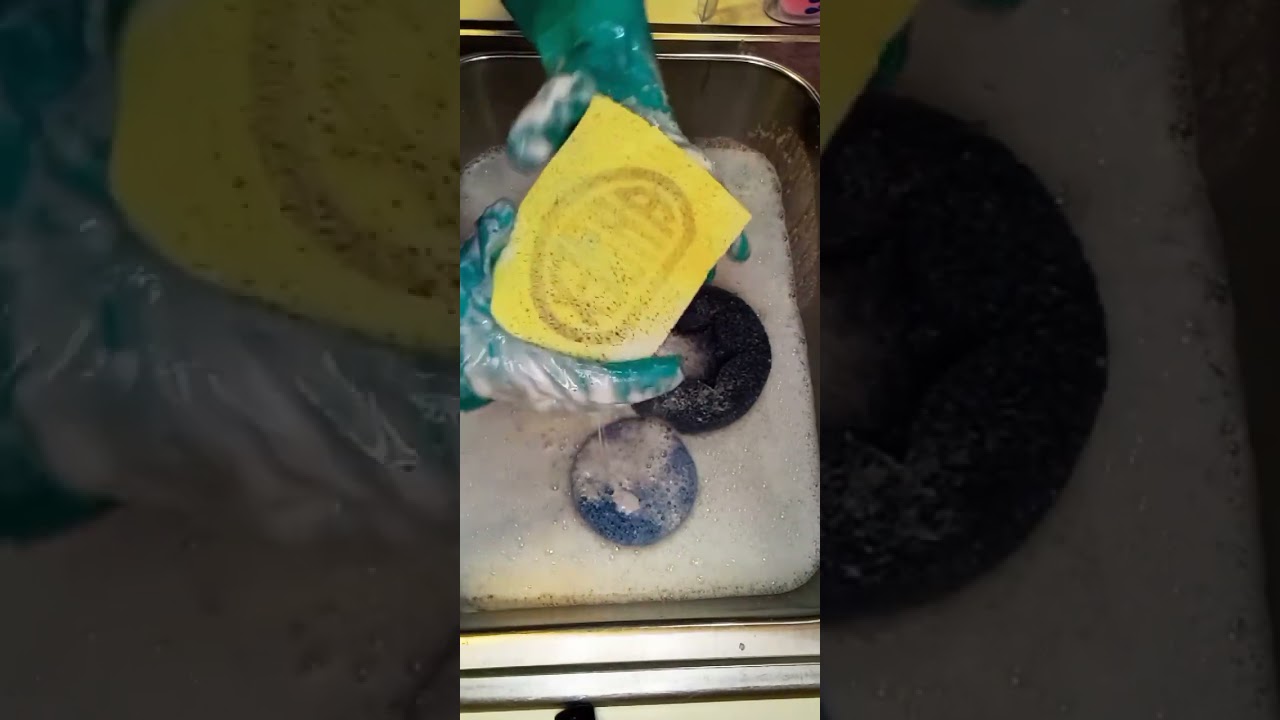 Tiktok live 2/22/26