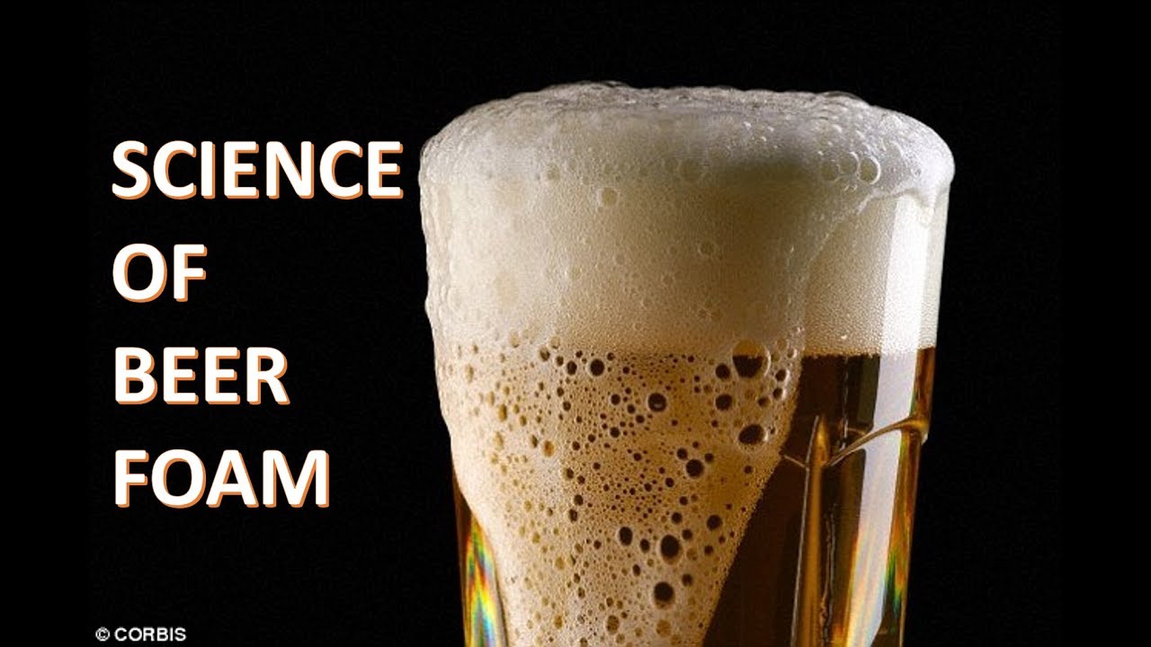 What is Beer Foam? The SCIENCE of Beer Head