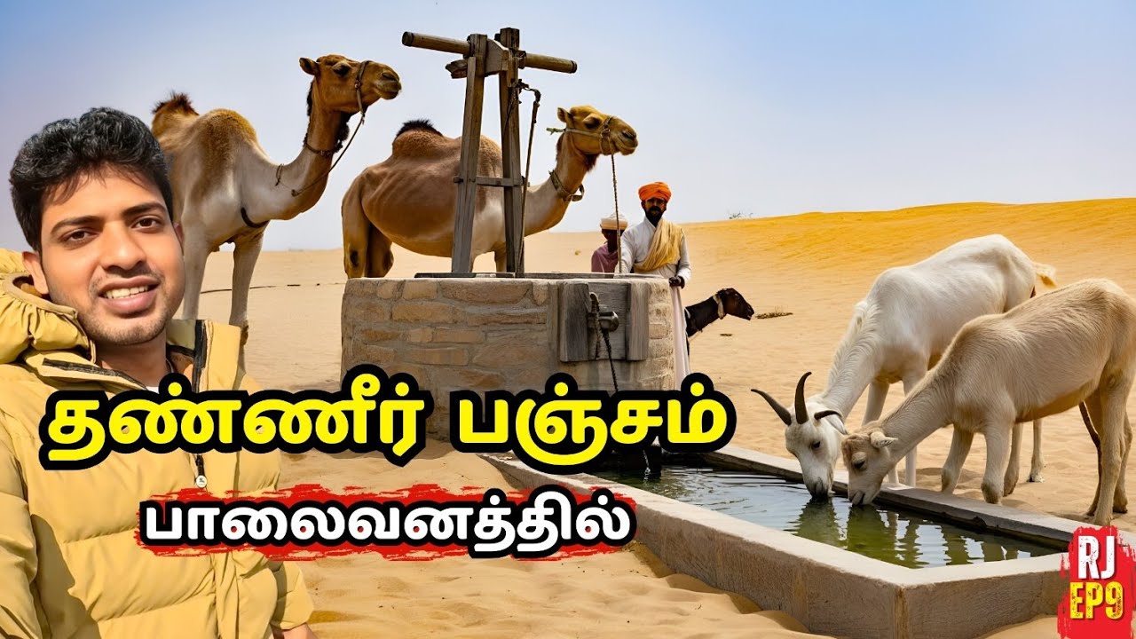 ராஜஸ்தான் பாலைவனத்தில் ஒட்டகத்தை வைத்து தண்ணீர் எடுக்கின்றனர் #rajasthan #desert #watershortages