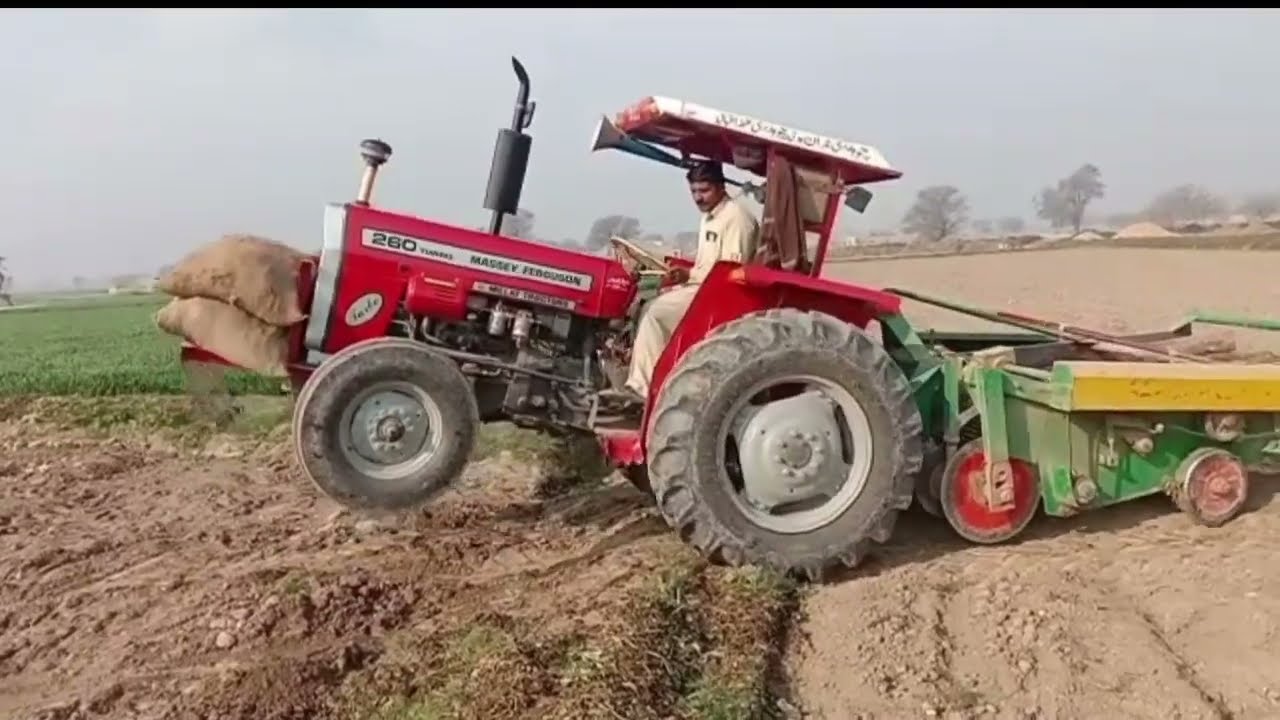 MF 260 stanadyne pump Di Digeer Ty Performance || Aloo di patai | MF 260