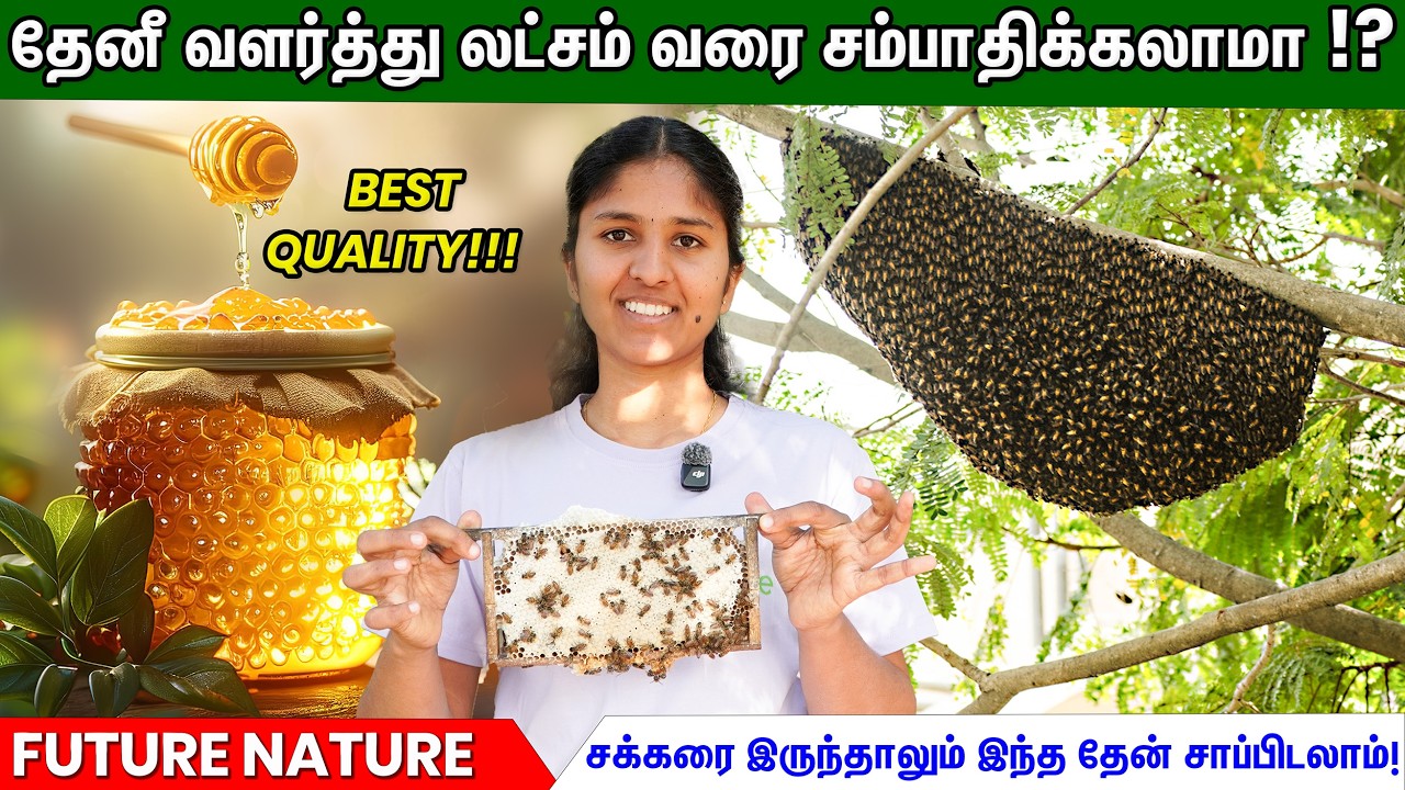 தேனீ வளர்ப்பு ஆரம்பிக்க எவ்வளவு முதலீடு? லாபம் எவ்வளவு?